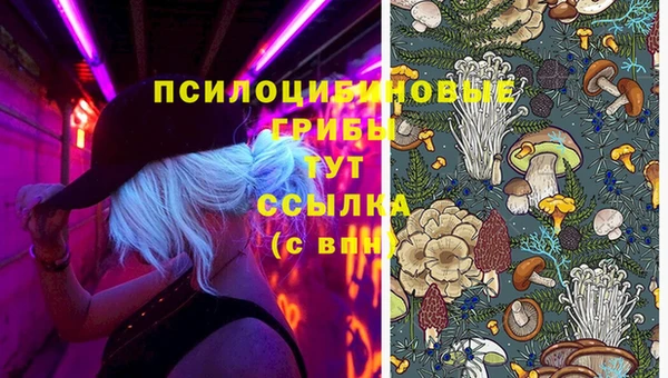СК Александровское